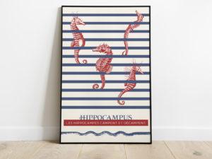 Les hippocampes campent et décampent