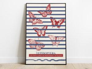 Les papillons se montrent tatillon